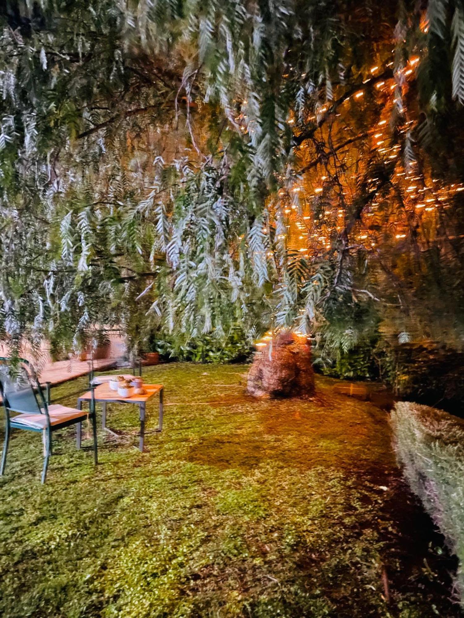 Casa Fiorita Appia Antica Lejlighed *